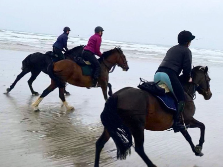 Clew Bay Coastal Trail Ride 